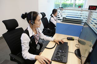 政務(wù)服務(wù)中心咨詢(xún)中心 高效便捷的信息咨詢(xún)服務(wù)